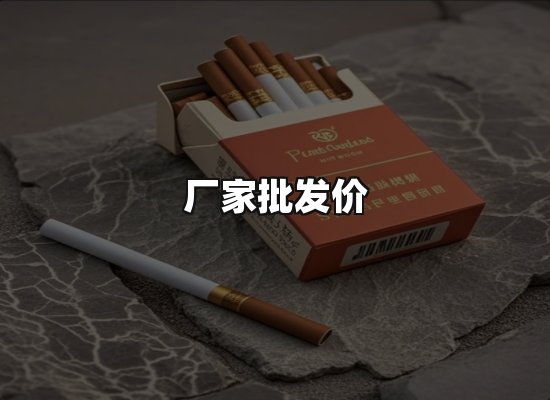 专业优势